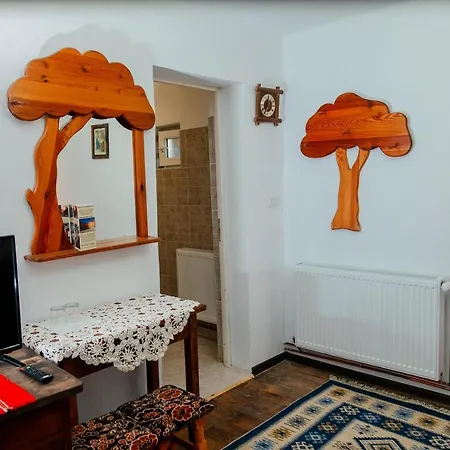 Casa Pe Valea Hartibaciului Country house *