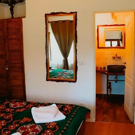 Casa Pe Valea Hartibaciului Country house