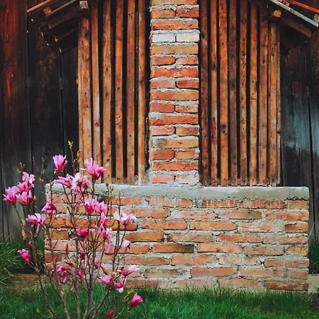 Country house Casa Pe Valea Hartibaciului *