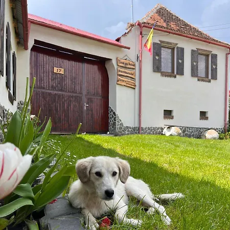 Casa Pe Valea Hartibaciului Barcut